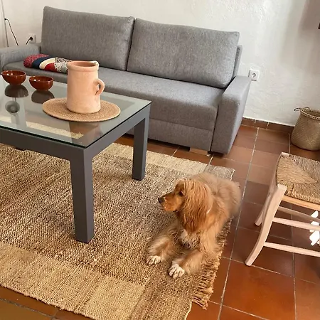 Apartamento Wallada Mezquita