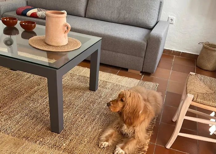 Apartamento Wallada Mezquita